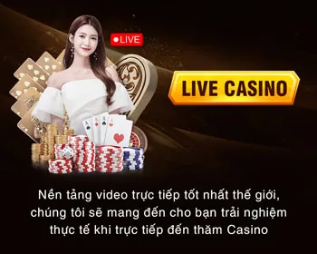 Hỗ trợ từ các tổ chức bên ngoài